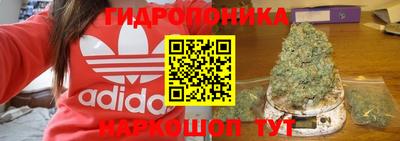 a pvp Татарск
