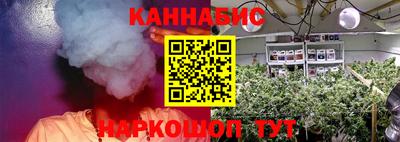 молекула духа Тверь