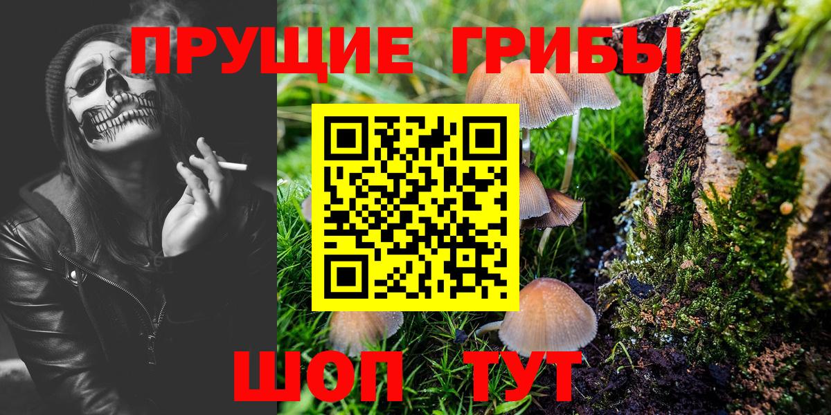 Псилоцибиновые грибы Psilocybine cubensis Мценск
